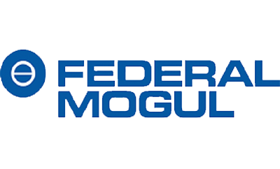 Federal-Mogul